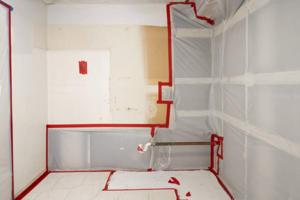 Best Airborne Mold Testing  in Willow Park, TX