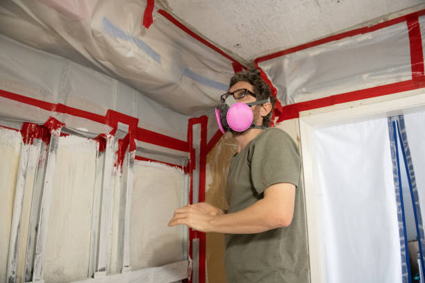 Best Crawl Space Mold Remediation  in Willow Park, TX