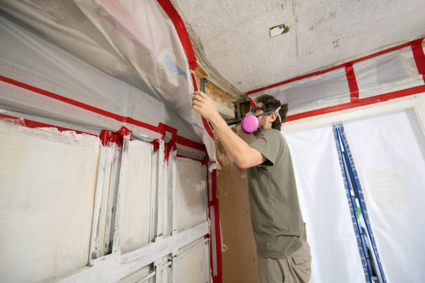 Best Real Estate Mold Inspection  in Willow Park, TX