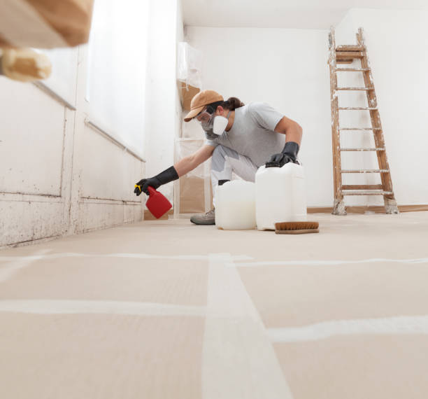 Best Air Quality Testing for Mold Spores  in Willow Park, TX